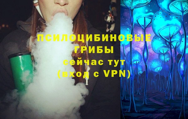 ALPHA PVP Нягань