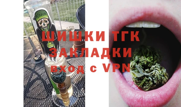 первитин Няндома