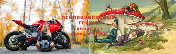 марихуана Новодвинск