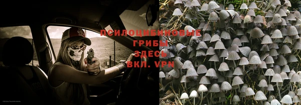 ALPHA-PVP Бородино