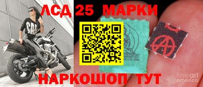 a pvp Бийск
