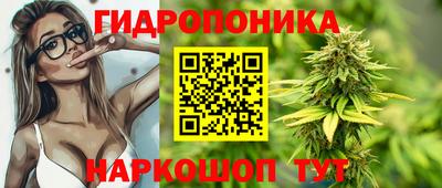 a pvp Бийск