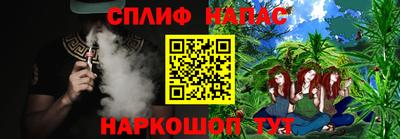 a pvp Бийск