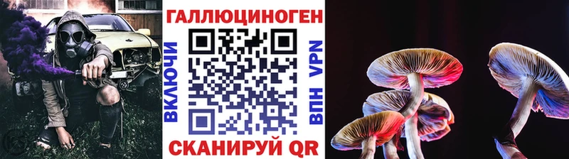 Галлюциногенные грибы MAGIC MUSHROOMS купить цена Югорск