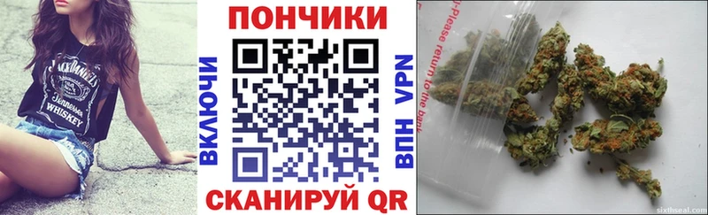 Бошки марихуана сатива Югорск